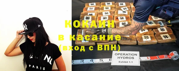 Альфа ПВП Инсар