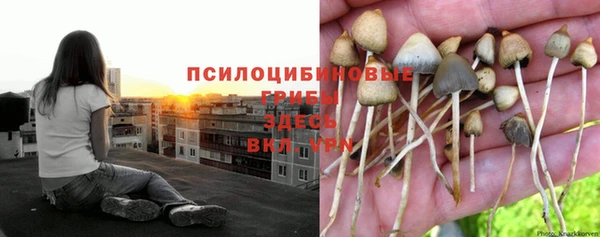тгк Инта