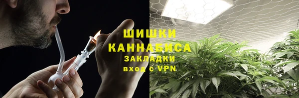 Альфа ПВП Инсар