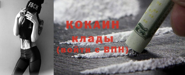 тгк Инта