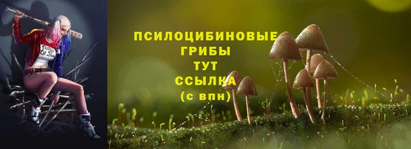 Альфа ПВП Инсар