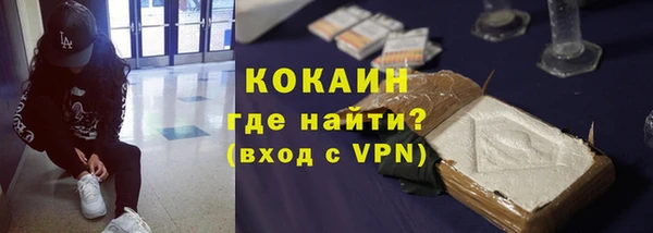 Альфа ПВП Инсар