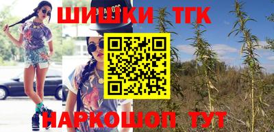 Альфа ПВП Гатчина