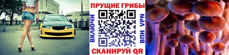 купить   Воронеж  Галлюциногенные грибы ЛСД 