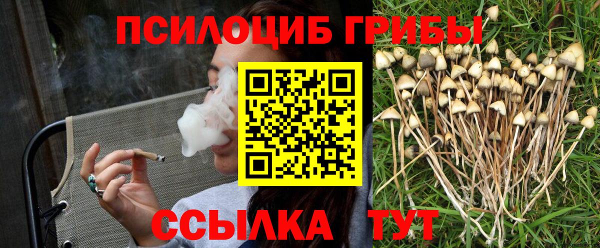 закладка  Галлюциногенные грибы GOLDEN TEACHER  Вход с VPN  Галлюциногенные грибы Psilocybine cubensis  Воронеж 
