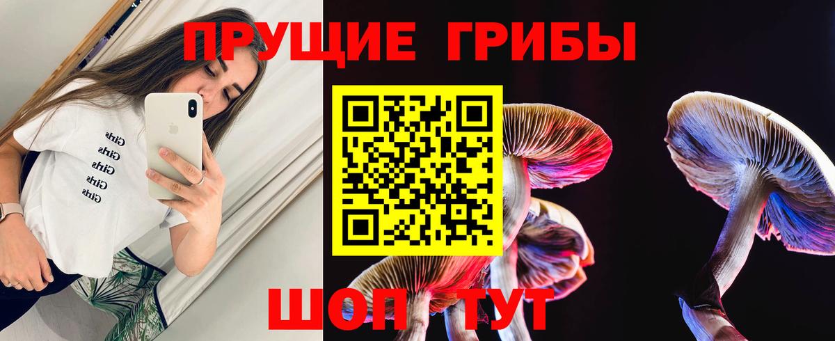 Галлюциногенные грибы GOLDEN TEACHER Воронеж