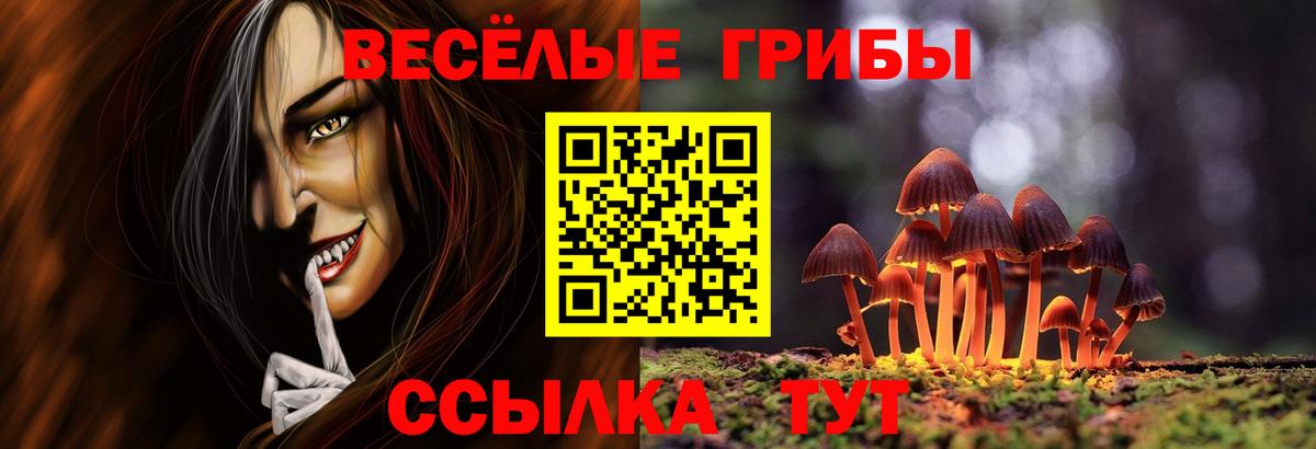 где можно купить   Галлюциногенные грибы Psilocybine cubensis  Воронеж  Псилоцибиновые грибы Cubensis 